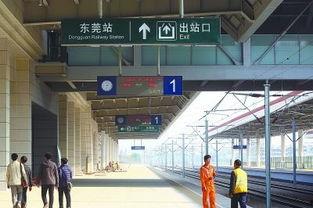 东莞火车站爆料视频最新,现场实况直击,揭秘神秘事件!
